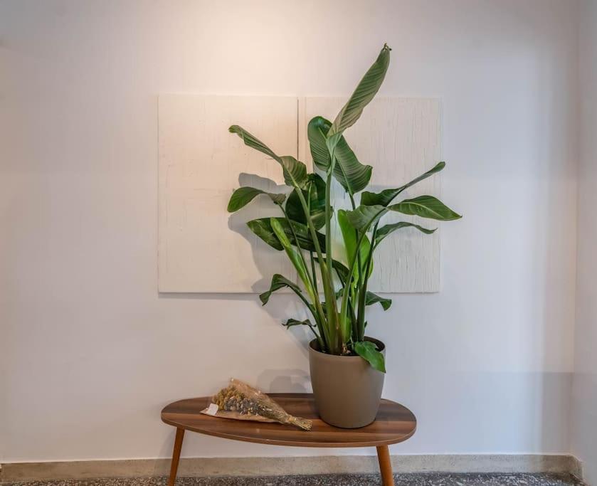 Botanical Lägenhet Aten Exteriör bild