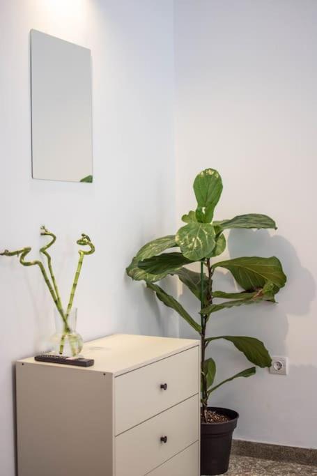 Botanical Lägenhet Aten Exteriör bild