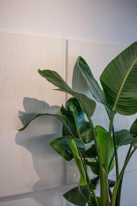 Botanical Lägenhet Aten Exteriör bild