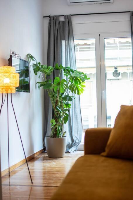 Botanical Lägenhet Aten Exteriör bild